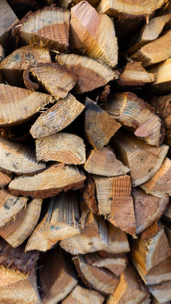 istock firewood in stacked firewood shelves 1974445697