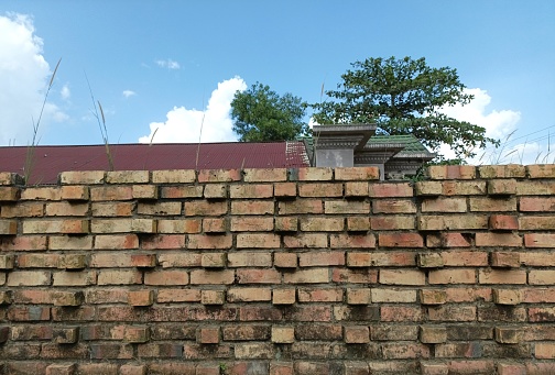 Wall of brick on nature