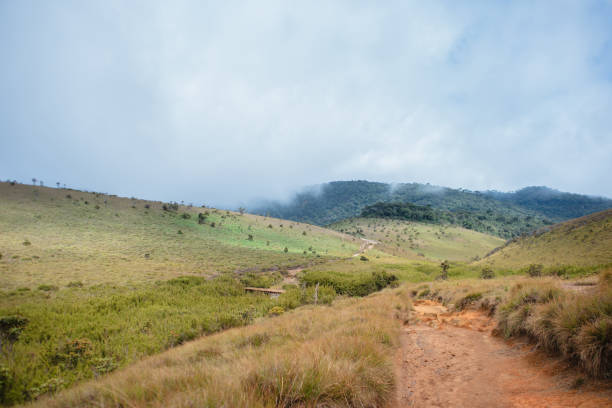 istock The paths, grasslands, and sky on the Horton Plain. 1974477387
