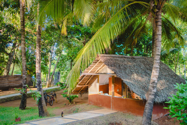 istock The thatched cottage under the coconut tree 1974497027