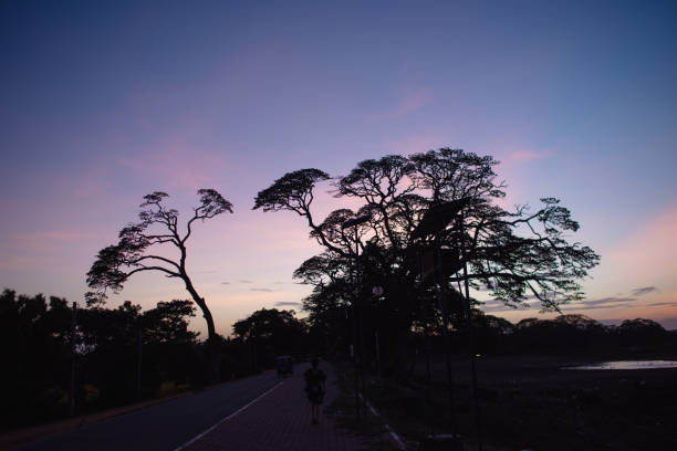 Under the sunset, roads and trees.