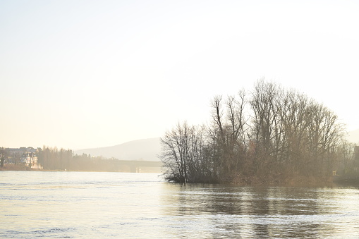 Rhine winter flood