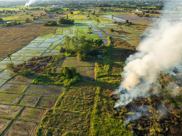 istock Climate change, Agriculture burning release carbon dioxide (CO2) emissions and other greenhouse gases (GHG) that contribute to climate change. 1974540858