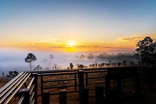 Landscape of Thung Salaeng Luang National Park Phetchabun Province Beautiful nature of sunrise and morning fog in the savannah in winter season thailand.