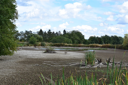 a swamp lake that fell dry in summer