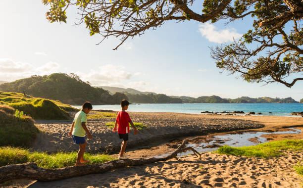 istock Kids walking on log trying to balance themselves. 1974568710