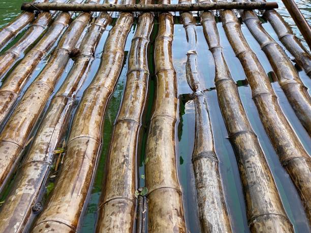 istock Bamboo rafting in Jamaica up-close 1974582936