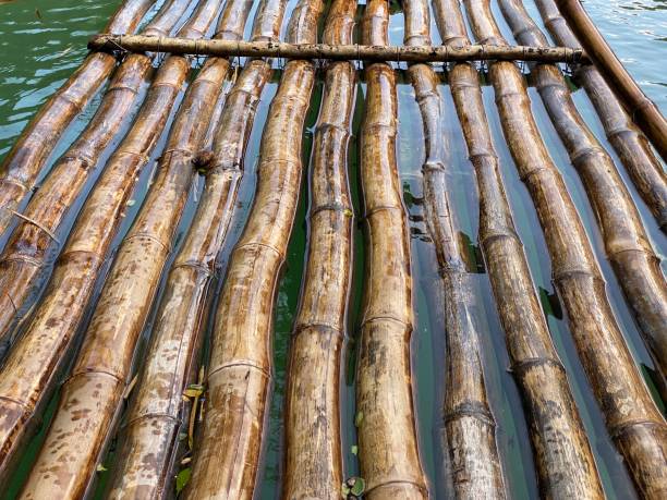 istock Bamboo rafting in Jamaica up-close 1974583471
