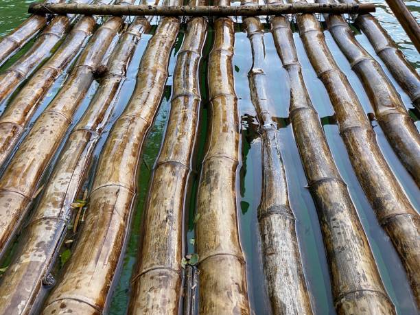 istock Bamboo rafting in Jamaica up-close 1974584516