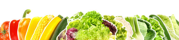 istock Various Vegetables with Outline on white Background - Panorama 1974595715