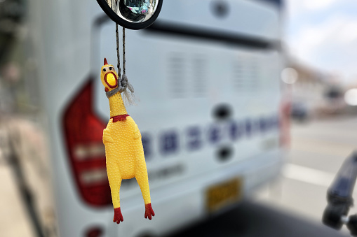 Hanging Rubber Chicken Toy in front of Side Mirror Bus.