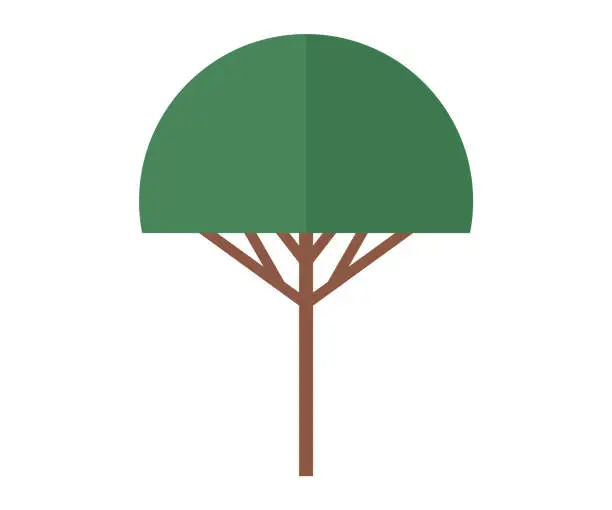 Vector illustration of Tree. Climate conditions affect growth and survival trees in different regions