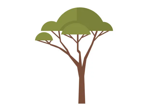 Vector illustration of Tree. Seasonal changes bring about dynamic transformation in appearance leaves