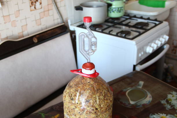 active wine fermentation process, water seal on the bottle of homemade wine, close-up - airlock fotografías e imágenes de stock