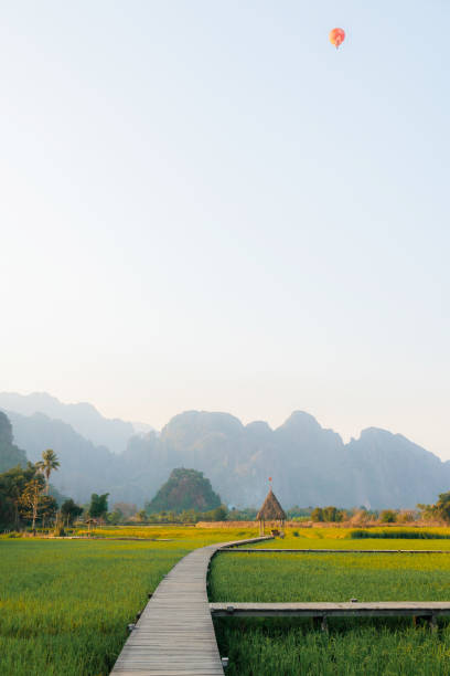 istock Rice paddy in Southeast asia 1974676024
