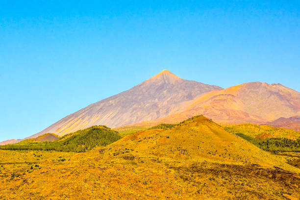 Photo Picture of a Valley in the Canary Islands