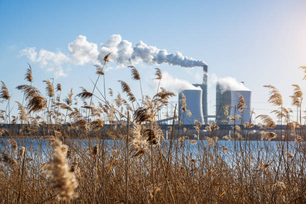 Power Station in Schkopau behind sea grass, Germany
