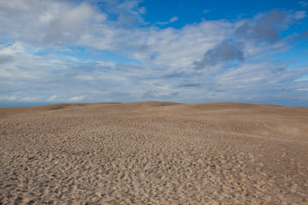 istock Rabjerg Mile is a migrating coastal dune, Denmark. 1974736219