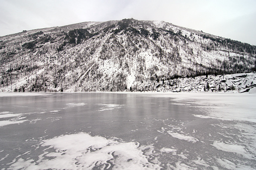 Winter frosty morning. Fog over the river. Snow-covered pine near an unfrozen river. Christmas landscape