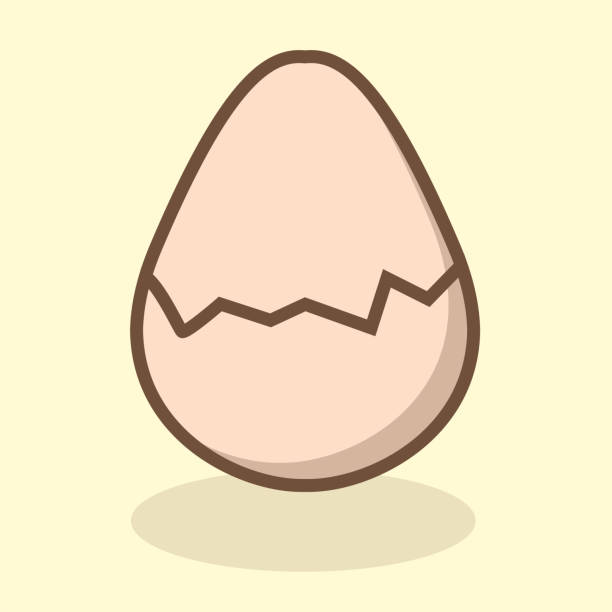 그림자가 있는 평면 디자인의 만화 깨진 달걀 - white background brown animal egg ellipse stock illustrations