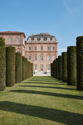 Reggia di Venaria castle park with cylindrical hedges, symmetrical view in spring sunlight
