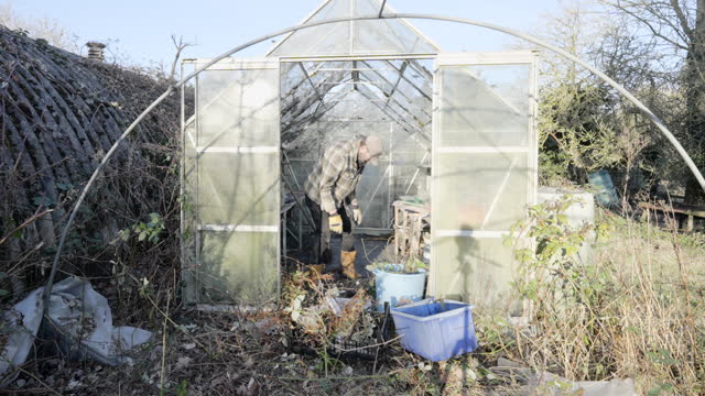 Cleaning an Overgrown  Green House