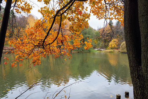 Beautiful autumn colors of Forest House  and lake reflection in Boraboy Lake and like wallpaper