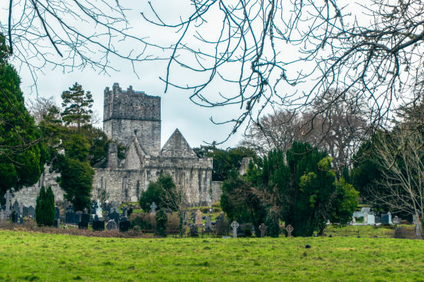 Muckross abbey friary in Killarney Ireland