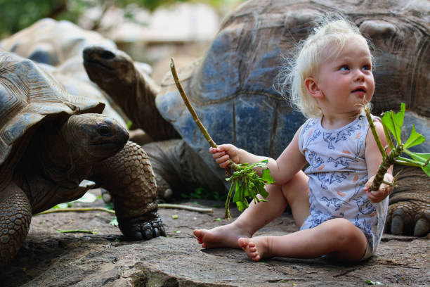 istock Little Boy Sitting Beside Tortoise on the Ground 1974884891
