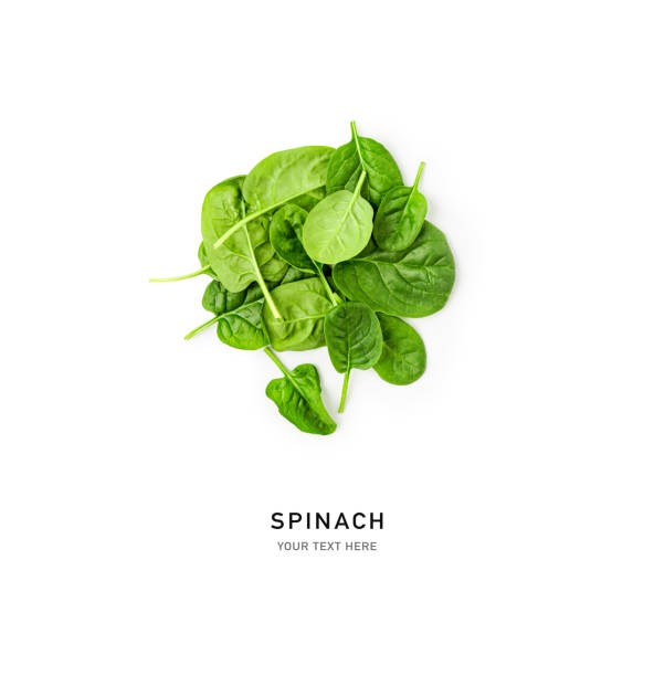 istock Fresh spinach leaves pile top view isolated on white background 1974902718