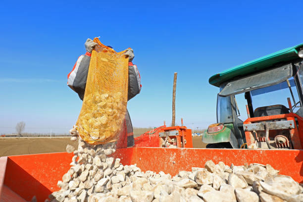 On a sunny day on March 6, 2024, a worker was unloading red bricks from a truck loaded with red bricks in Shuangliu District, Chengdu City, Sichuan Province