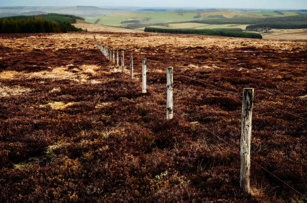 Aberdeenshire moorland, Scotland