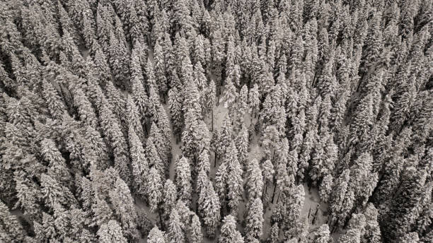 Free Stock Photo of Aerial View of Snow Covered Mountain | Download ...