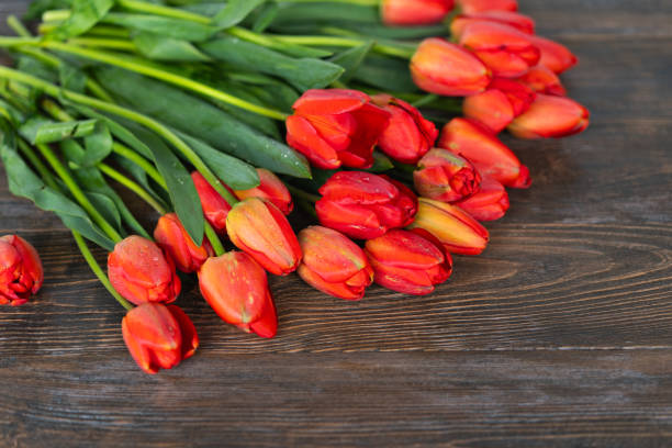 Fresh orange tulips on a wooden background. Springtime. Greeting card with copy space for Valentine's Day, Woman's Day and Mother's Day.