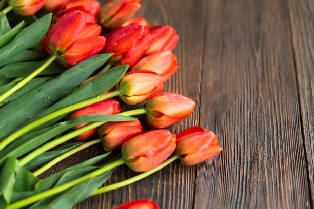 istock Fresh orange tulips on a wooden background. 1974990229