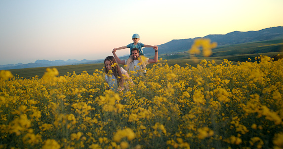 Nature, sunset and family in canola field walking on vacation, holiday or weekend trip. Adventure, travel and boy child with parents on journey in outdoor park with yellow flowers in countryside.