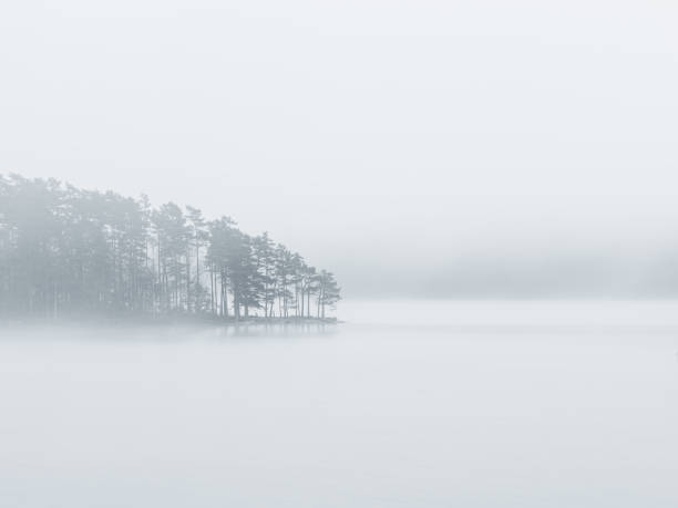 istock Tranquil Morning Mist Enveloping a Serene Lake and Pine Trees 1975017832