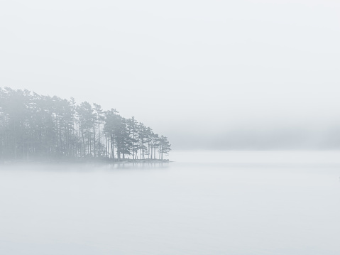 A soft, ethereal mist drapes over a calm lake and a small island of pine trees, creating a peaceful, monochromatic scene.