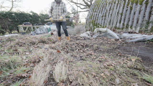 Raking the Weeds Outside  the Overgrown  Green House