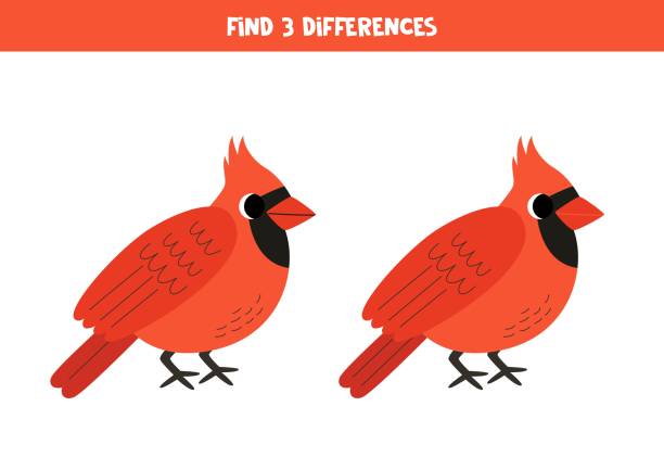 Find 3 differences between two cute cartoon red cardinal bird. Find three differences between two pictures of cute cartoon red cardinal bird. three red cardinals stock illustrations