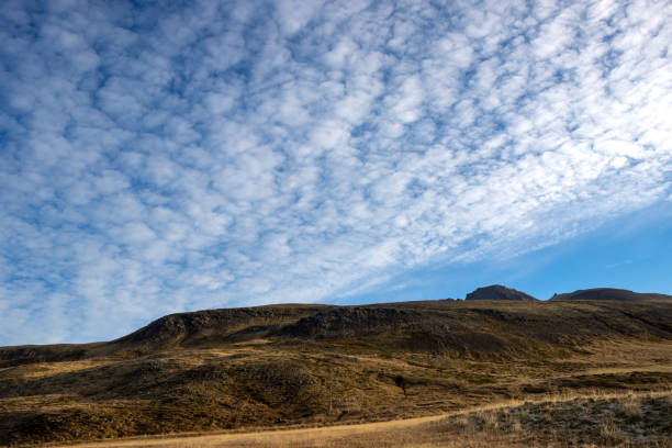 Soft lines of the autumn mountain, covered by moss and lichen. Blue sky with a fluffy white clouds. Bakkagerdi, North-East Iceland.
