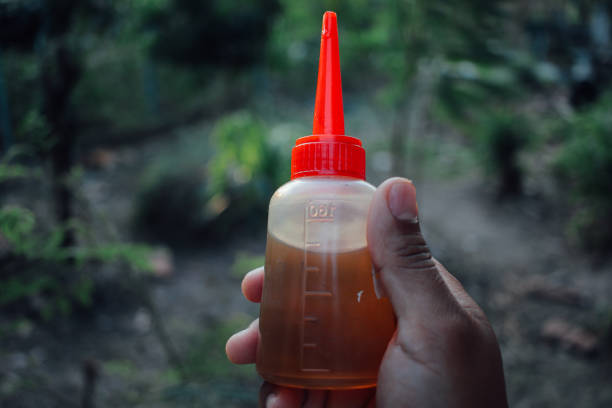 bottle of chain oil