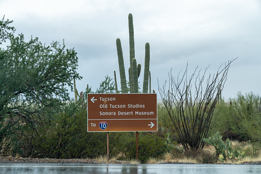 Road sign in Saguaro National Park giving drivers directions to US-10 or Tucson