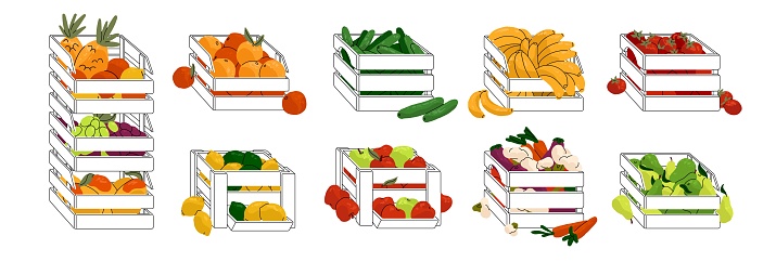 Fruit and vegetables in wooden boxes set. Agriculture products for market. Organic food, eco eating from local farm. Autumn harvest storage. Flat isolated vector illustration on white background.