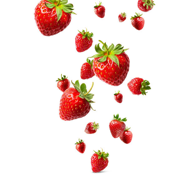 Strawberries flying in air, Healthy organic berry natural ingredients concept, Empty space in studio shot isolated on white background