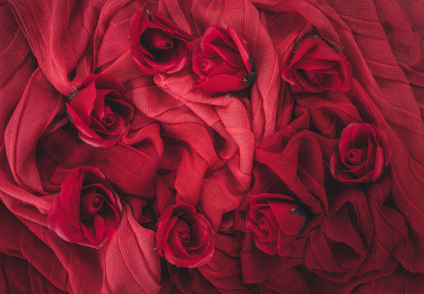 Red rose flower on red fabric background, valentines day concept flatly image