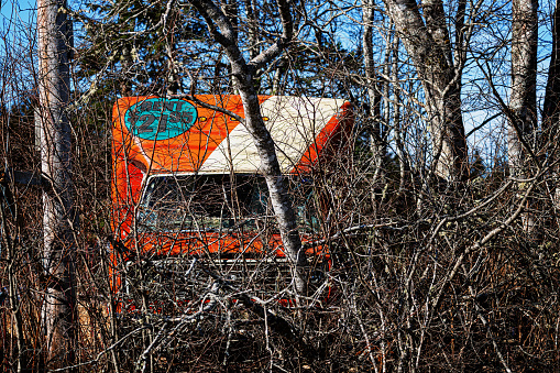 An abandoned rental moving truck in thick bushes.