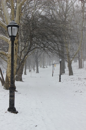 New York, NY USA - January 19, 2024 : Snow-covered pedestrian path lined with traditional black iron street lamps during a winter storm in Riverside Park, New York City on January 19, 2024