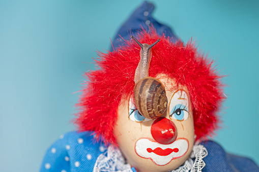 A snail walking on the head of a clown model.