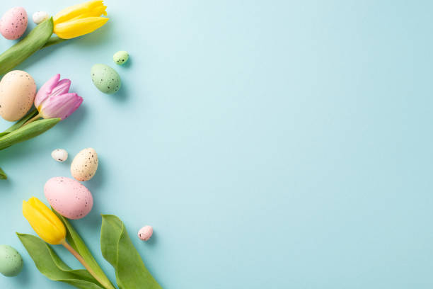 istock Easter Joy Composition: top view colorful eggs, and fresh tulips on a soft blue background. Ideal for greetings or promotions with space for text or ads 1975265304